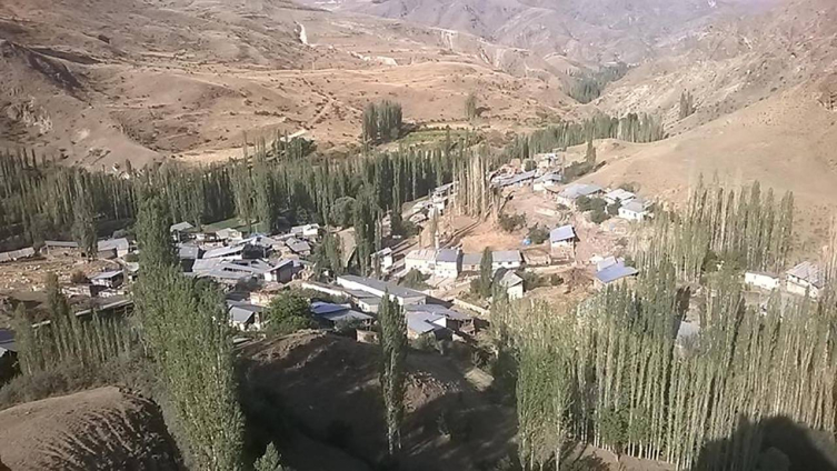 Erzurum'da 4 kişiyi yaralayan kurt kuduz çıktı